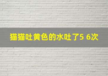 猫猫吐黄色的水吐了5 6次